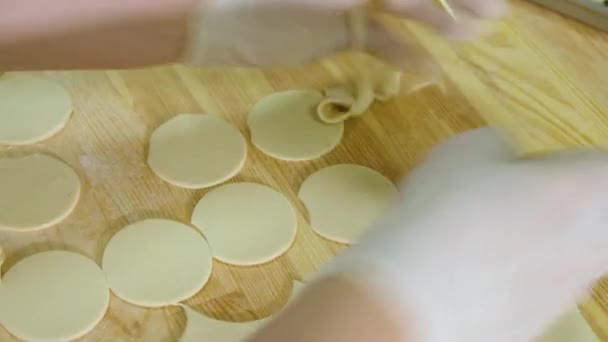 Mains découpées cercles de pâte pour la fabrication de boulettes, dans la production de produits semi-finis. — Video