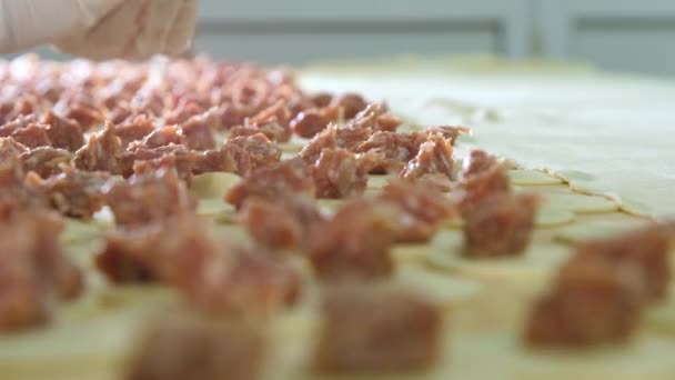 The hands of the cook lay out pieces of minced meat on the dough for making dumplings. — Stock Video