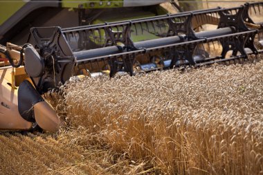 Tahıl hasat Birleştir