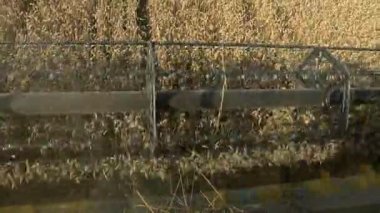 Taksi hasat görünümünden