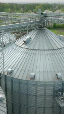 Dikey video. Hava görüntüsü. Kırsal alanda metal geçitlerle çevrili üç büyük tahıl ambarı. Bükülmüş metal silindirler tahıl depolamak için kullanılıyor. Endüstriyel tarım altyapısı.