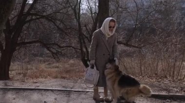 Bahar parkında başörtülü kalın palto giyen yaşlı bir kadın köpekle oyun oynuyor. Aktif kıdemli bayan, güneşli şehir bahçesinde yürüyüş sırasında dost canlısı evcil hayvanla tanışır. Yaşlılıkta sağlıklı bir hayat