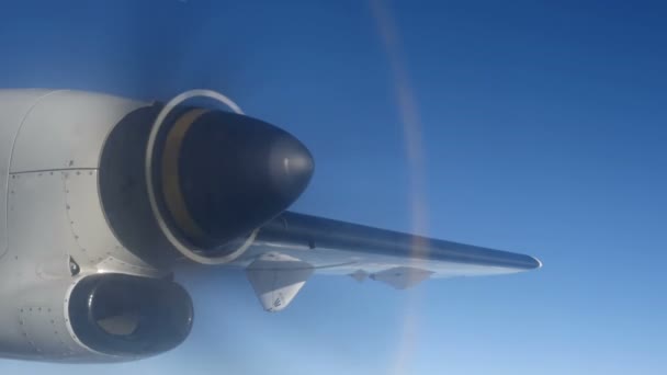 Пропелер літака під час польоту в небі — стокове відео