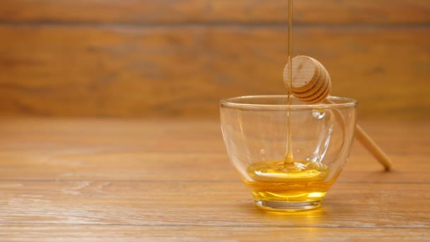 Мед наливается в красивую стеклянную чашу (No 9.1 ) — стоковое видео