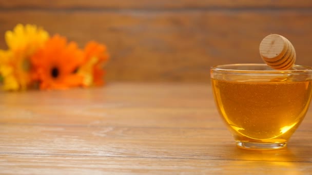 Honey in a beautiful glass bowl. Composition with flowers (No 9.2, LR Pan) — Stock Video