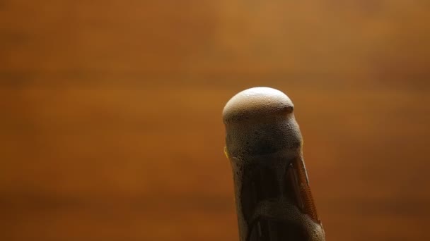 La espuma fluye hacia abajo en una botella de cerveza marrón (no 1.3 ) — Vídeos de Stock