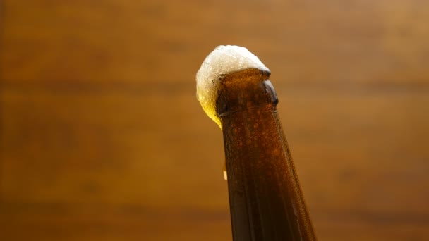 Foam flows down on a brown beer bottle (No 1.1) — Stock Video