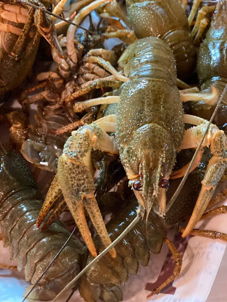 Comida Mariscos Cangrejos Río Cocidos Gran Aperitivo — Foto de Stock