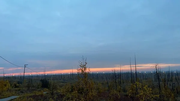Höstens Natur Tundran Taimyr Halvön Röd Solnedgång — Stockfoto