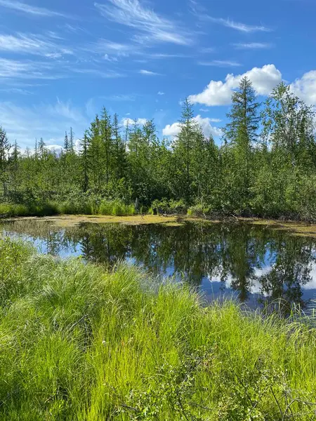 Nature Taimyr Summer Far North City Norilsk Lake Tundra — Stock Photo, Image