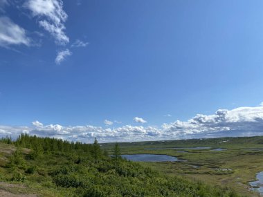 Taimyr 'de doğa. Tundra yazın. Uzak Kuzey.