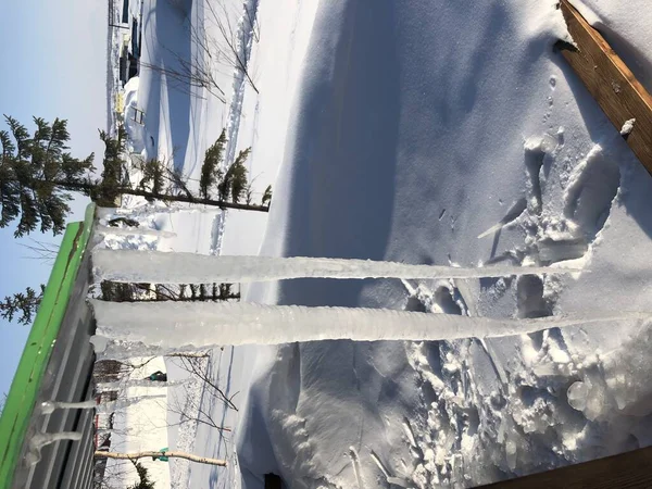 Invierno Muy Nevado Naturaleza Estaba Cubierta Nieve — Foto de Stock