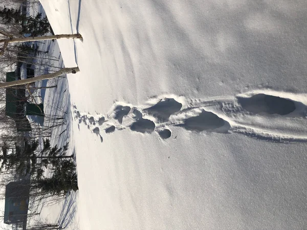 冬の雪の中で人間の足跡 — ストック写真