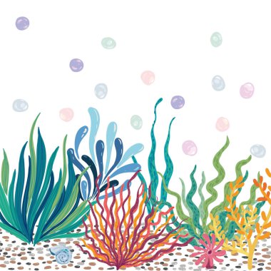 Güzel vektör yosunu, mercan, kabuk, taş, su altı dünyası