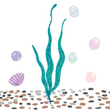 Güzel vektör yosunu, mercan, kabuk, taş, su altı dünyası