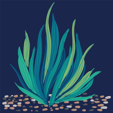Güzel vektör yosunu, mercan, kabuk, taş, su altı dünyası