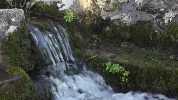 Mountain stream — Stock Video