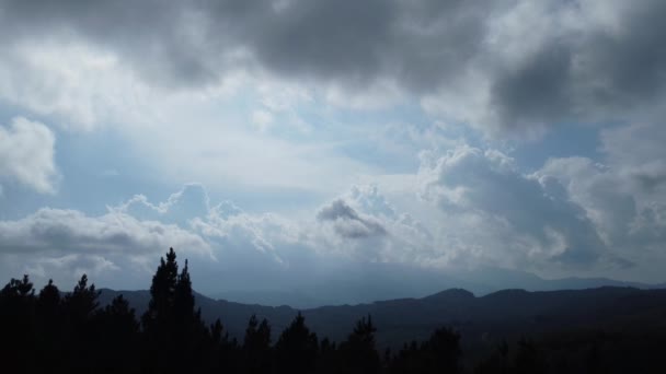 Ver Céu Nublado Sobre Floresta Com Nuvens Movimento — Vídeo de Stock