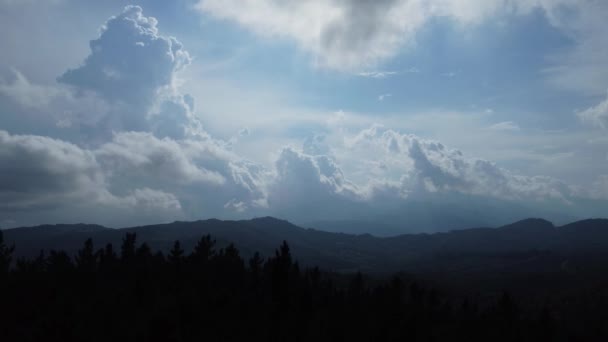 Vista Cielo Nublado Descendiendo Bosque — Vídeo de stock