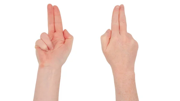白い手をしびれた 絶縁された女性の手 フロントとバック インデックスと2番目の指を一緒に指して リングと小さな指を曲げ 親指が入ってる — ストック写真