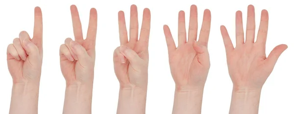 有雀斑的白手对一个女人的手前面的各种孤立的观点 用手指数一数从1到5 收藏集 免版税图库照片