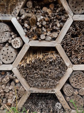 Bambu kamışları, kazılmış kütükler ve böcek otelindeki tohum kafalar yaprak kesen arılar, örümcekler ve diğer canlılar için delikler ve yarıklar oluşturur.