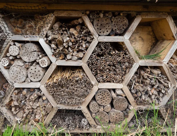 Bamboe Stokken Geboord Hout Dennenappels Zaad Hoofden Een Bug Hotel — Stockfoto