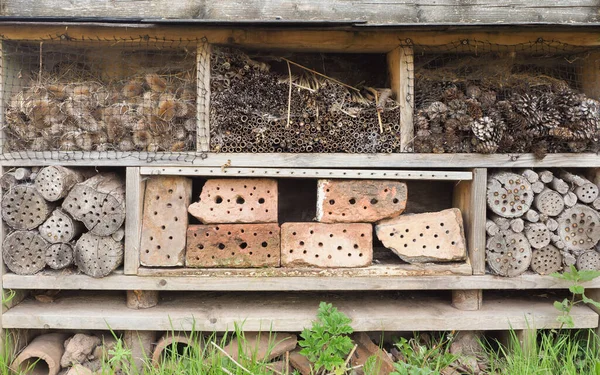 Bamboo Canes Bricks Pine Cones Seed Heads Bug Hotel Provide — Stock Photo, Image