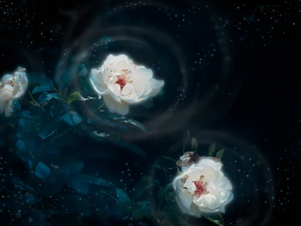 夜晚的花朵散发着明亮的径向光芒 周围环绕着奇异的闪耀的香水灰尘 幻想艺术 免版税图库照片