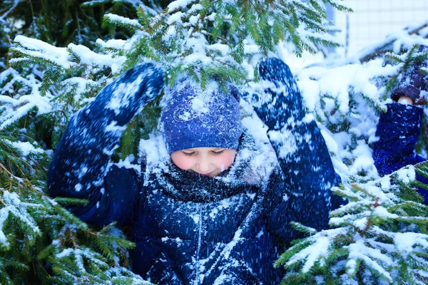 Barn flicka leka med snö i vinterskogen, ljusa snöiga granar, vacker natur — Stockfoto