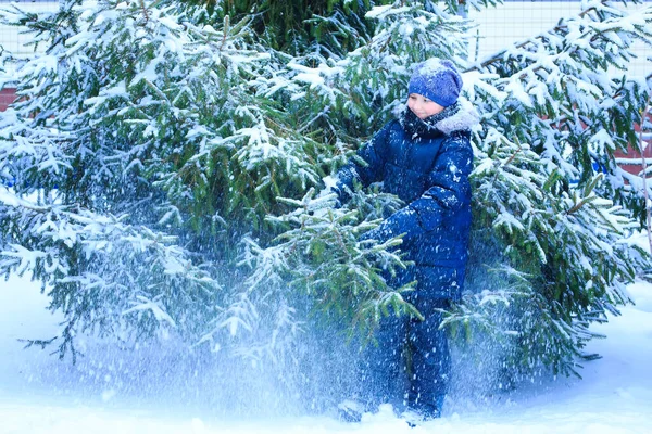 Bambina che gioca con la neve nella foresta invernale, abeti innevati luminosi, bella natura — Foto Stock