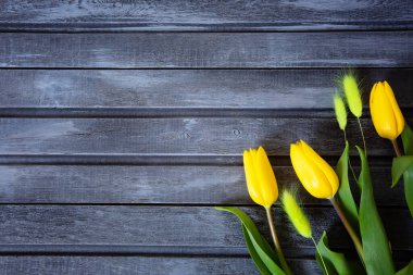 Bahar sarısı laleler. Mavi arka planda elinde buket tutan bir kadın. Düz yerde, üst tarafta. Lale çiçeği arkaplanı. Metnini ekle.