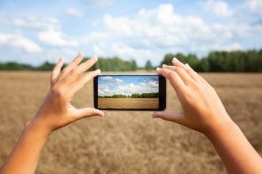Akıllı telefonları yatay olarak tutmak ve yaz buğday tarlasının yaz güneşli doğa manzarasının fotoğraflarını çekmek. Yüksek kalite fotoğraf