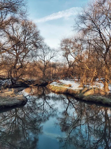 Bellissimo Fiume Foresta Riflessione Degli Alberi Nell Acqua — Foto Stock