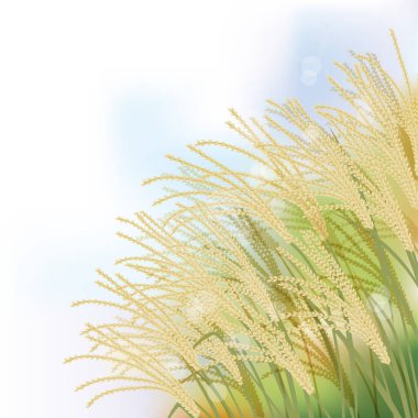 Japon pampaları çimen manzarası çizimi