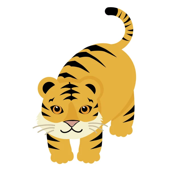 Material Ilustração Tigre Frontal — Vetor de Stock