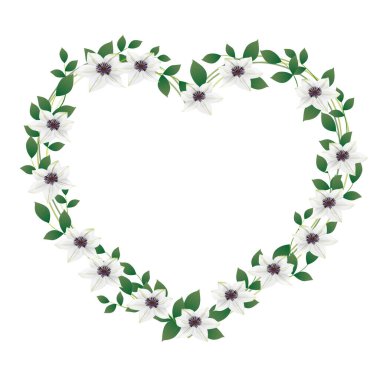 Clematis çiçek illüstrasyonunun çerçevesi