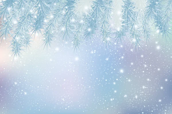 Tanne Und Schnee Weihnachten Hintergrund — Stockvektor