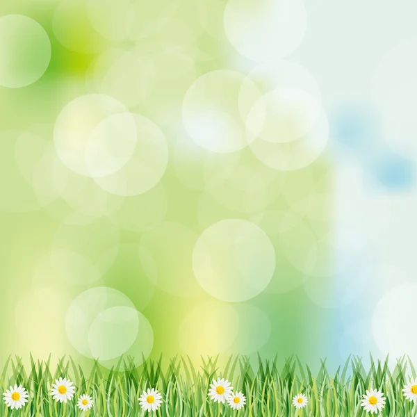 Spring background with daisy — Stock Vector