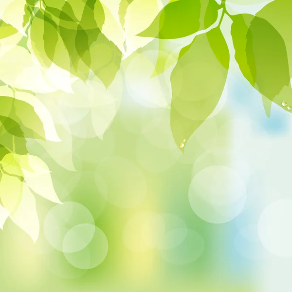 Ανοιξιάτικο φόντο με πράσινα φύλλα — Διανυσματικό Αρχείο