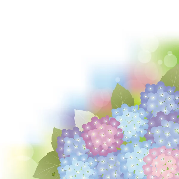Fond d'hortensia — Image vectorielle