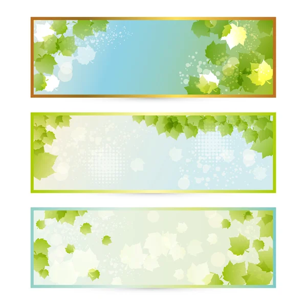 Spring green leaves frame set — Stock Vector