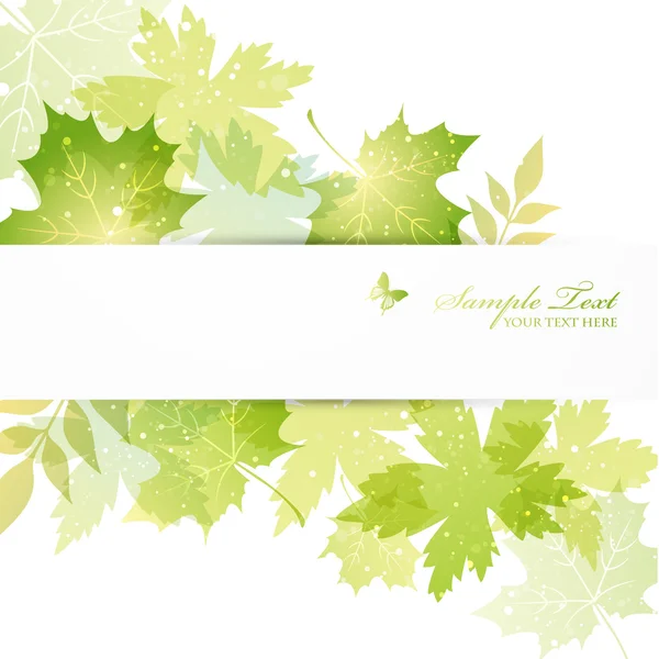 Green leaves background — Stock Vector