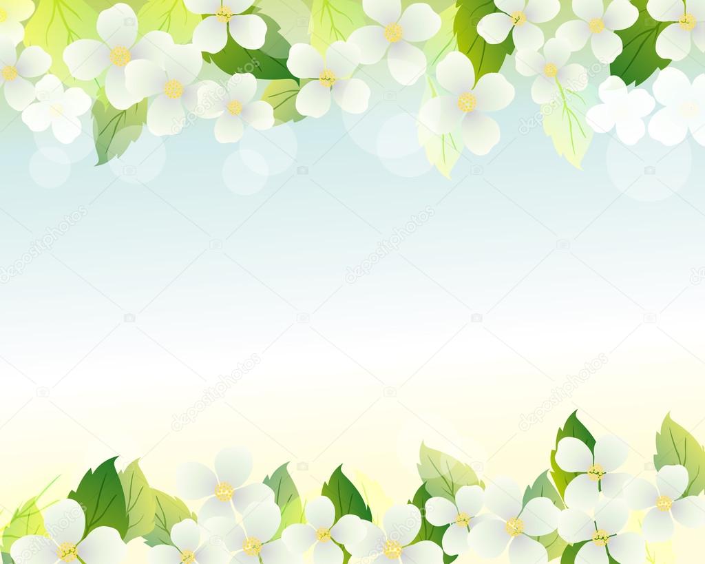 Jasmine background Stock Vector by ©MisaoN 69710545, image size:1024x819