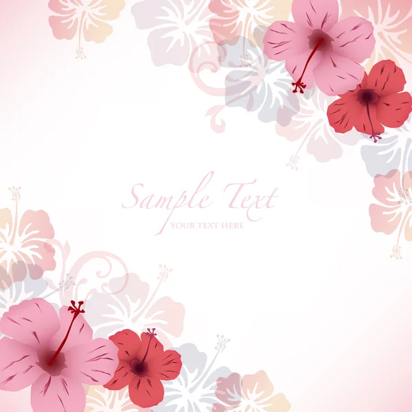 ebegümeci arka plan