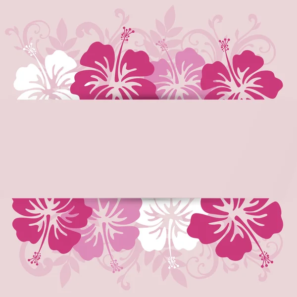 Hibiscuses background frame — Stock Vector