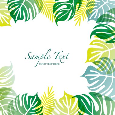 Monstera ile yaz arka plan