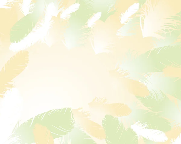 Feather background — Stock Vector