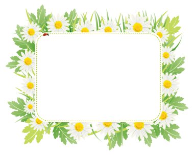 Daisy kartı