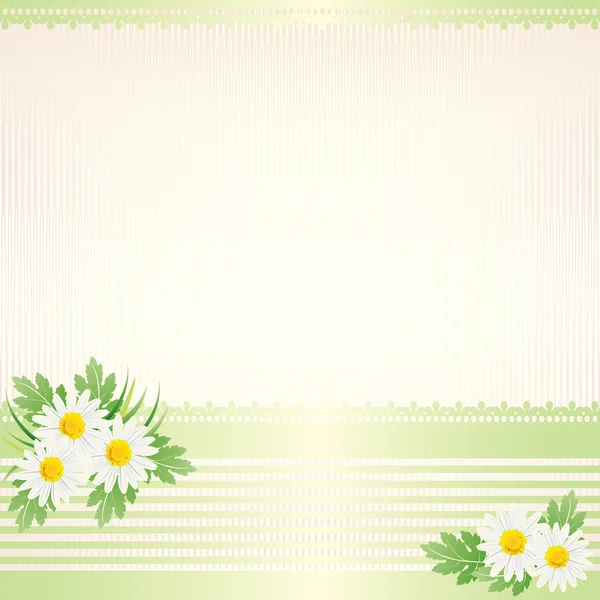 White daisy background — Stock Vector